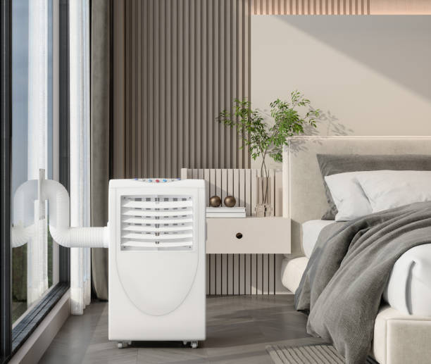 Best Air Filters and Purifiers in Denmark, SC